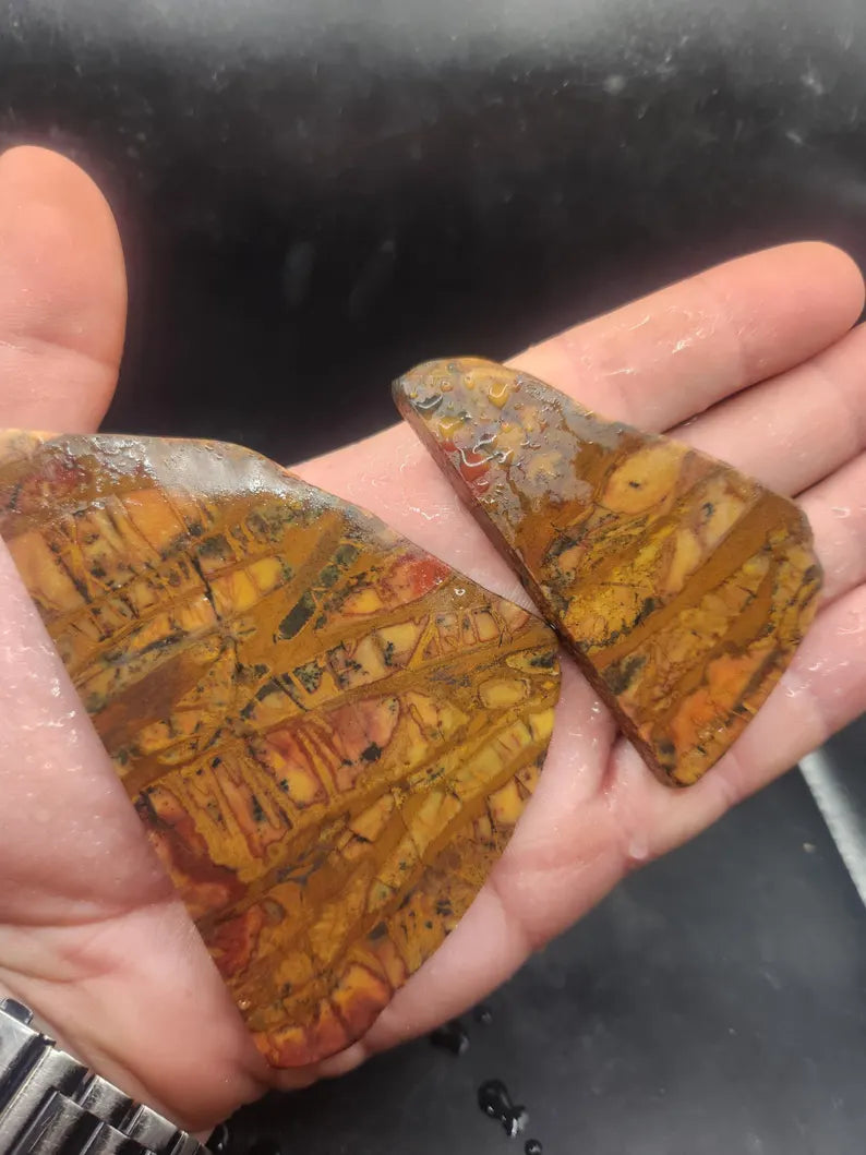 Vertigo Jasper Cabochons