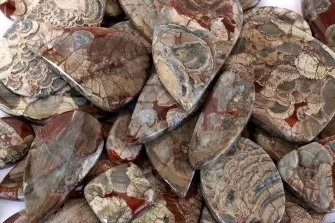 Mushroom Rhyolite Cabochons