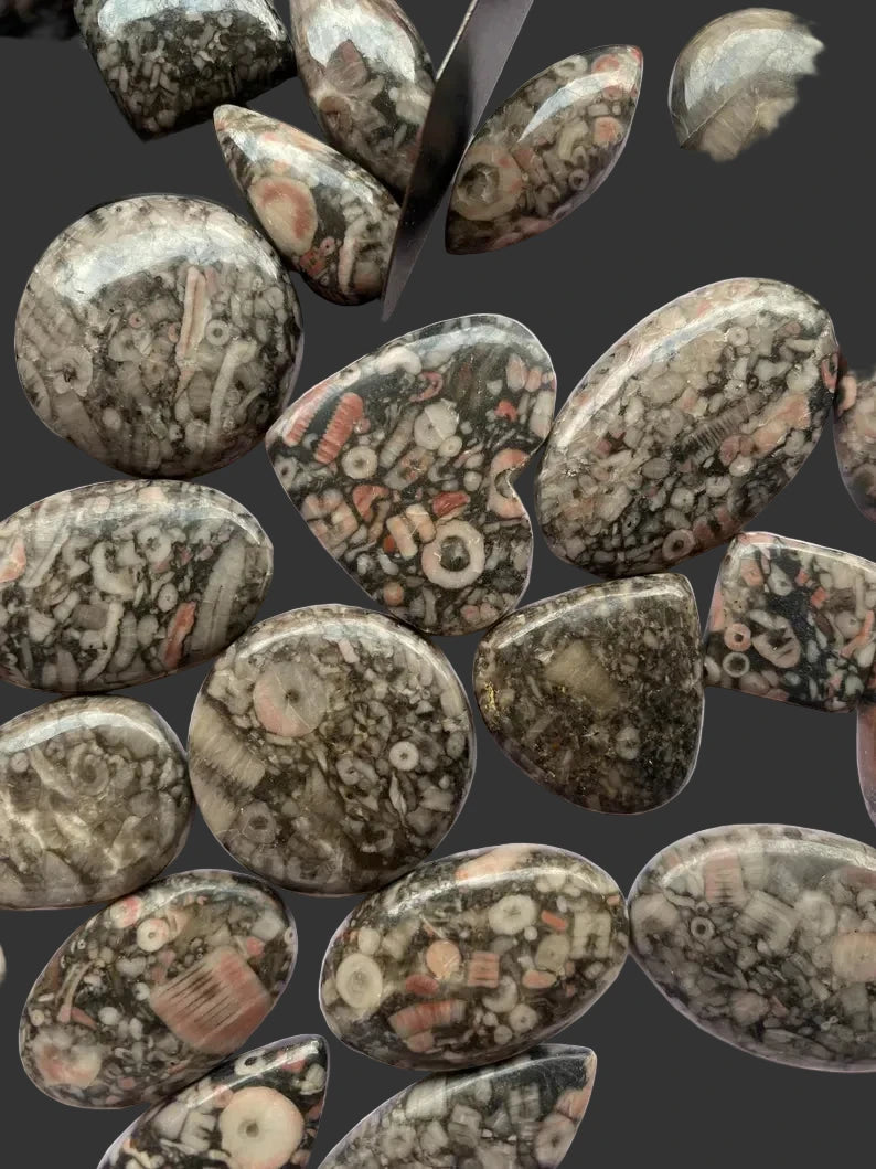 Pink Crinoid Cabochons