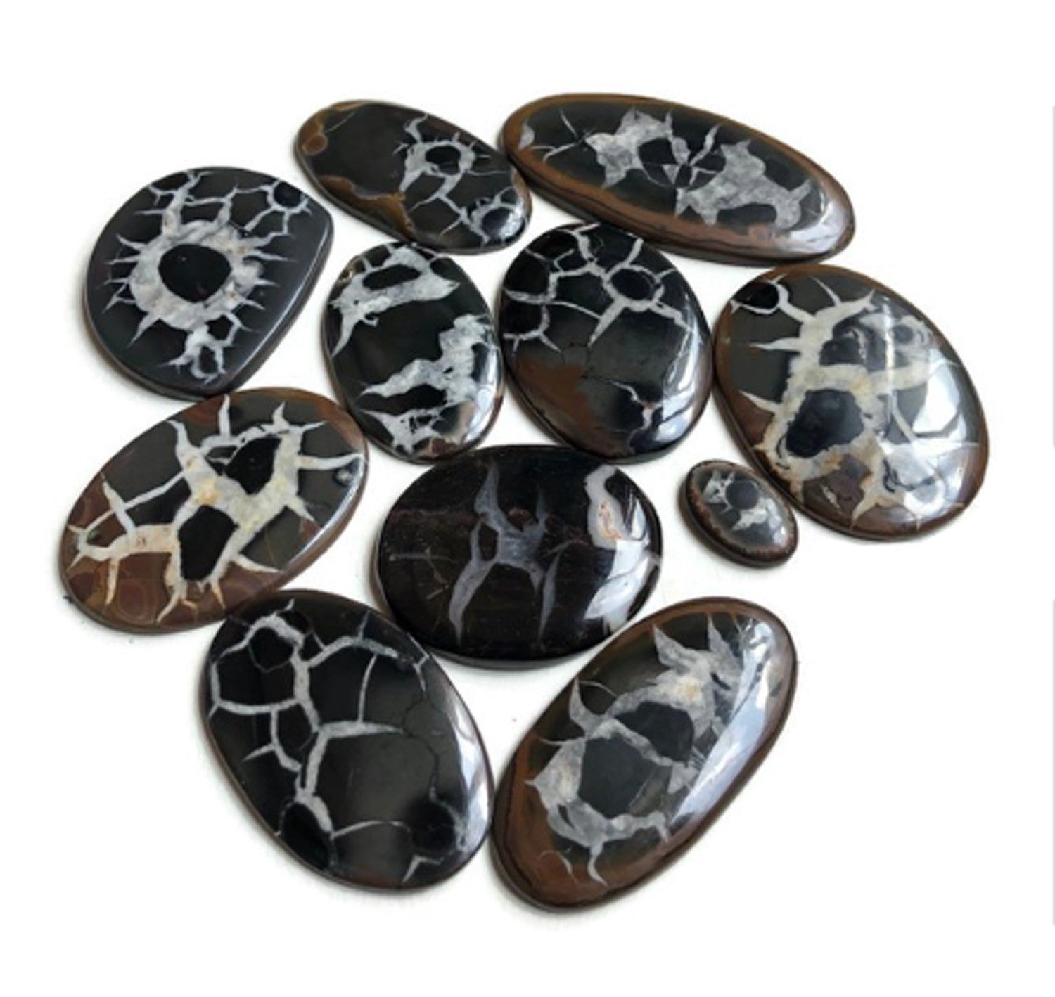 Septarian (Lightning Stone/Dragon Stone) Cabochons